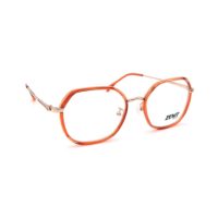 عینک-طبی-زنیت-ze1362-c5